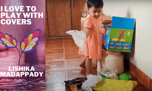 I love to play with covers