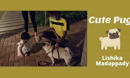 Meet my new friend Oreo – Lishika