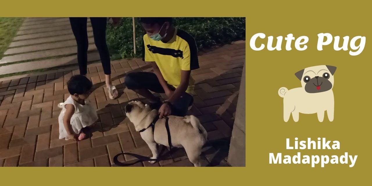 Meet my new friend Oreo – Lishika