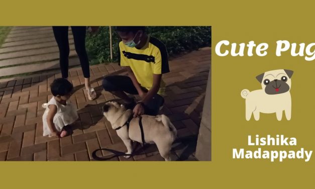 Meet my new friend Oreo – Lishika